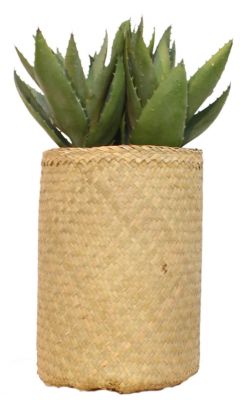 Nairobie Aloe Kunstpflanze im geflochtenen Korb. Dekorative Aloe Vera Kunstpflanze für Zuhause und Büro.